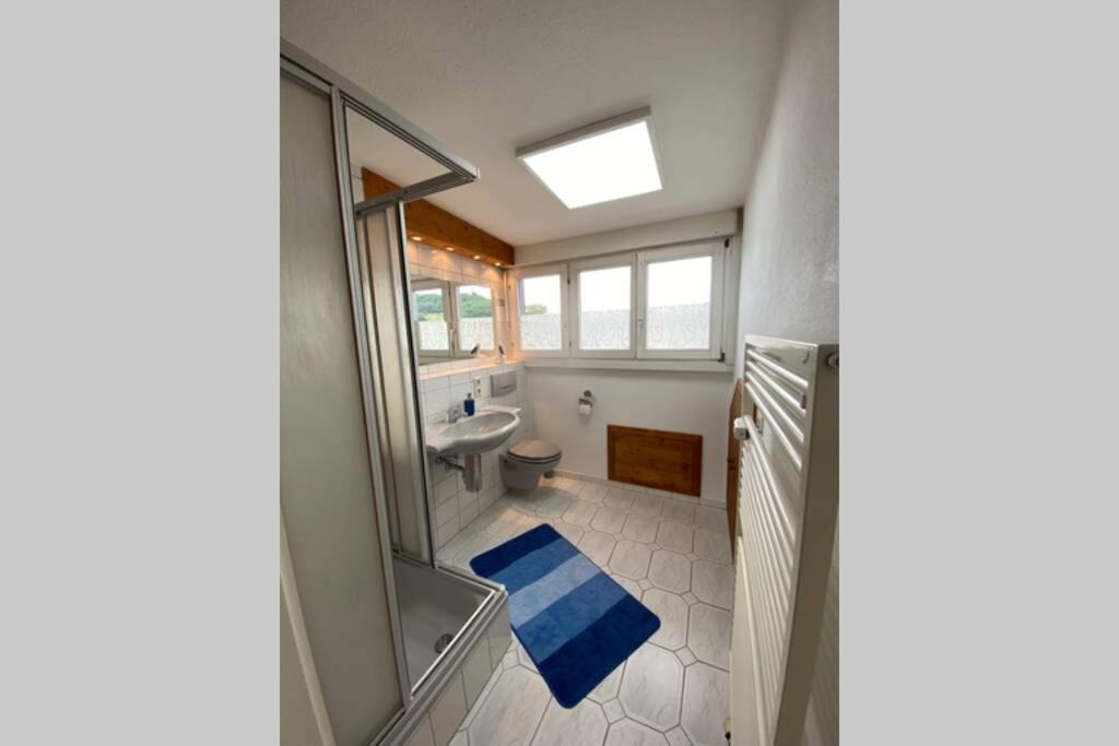Апартаменты *Dreilaendereck* Wifi+ Balkon+Garage Basel Mulhouse Maulburg Экстерьер фото