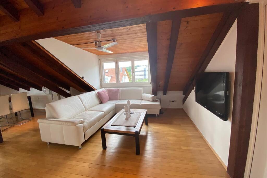 Апартаменты *Dreilaendereck* Wifi+ Balkon+Garage Basel Mulhouse Maulburg Экстерьер фото